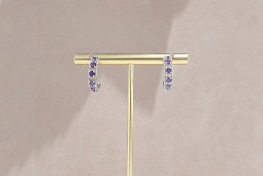 E2269 | Amethyst Earrings